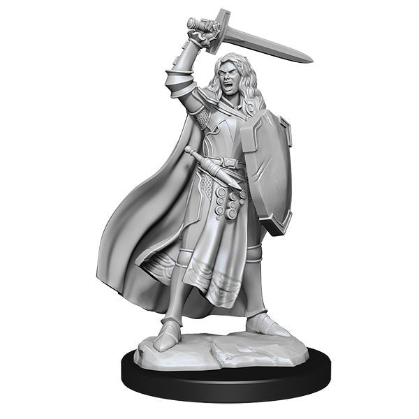 Pathfinder Minis: Deep Cuts Wave 14- Human Champion Female - The Fourth Place