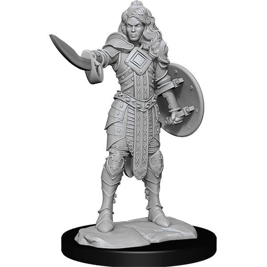 Pathfinder Minis: Deep Cuts Wave 14- Human Champion Female - The Fourth Place