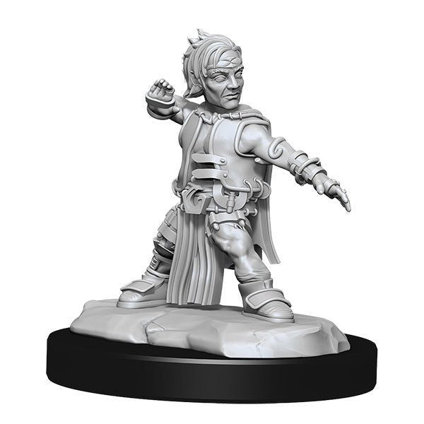 Pathfinder Minis: Deep Cuts Wave 15- Halfing Monk Male - The Fourth Place