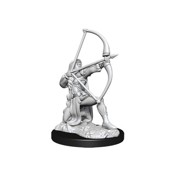 Pathfinder Minis: Deep Cuts Wave 15- Human Fighter Female - The Fourth Place