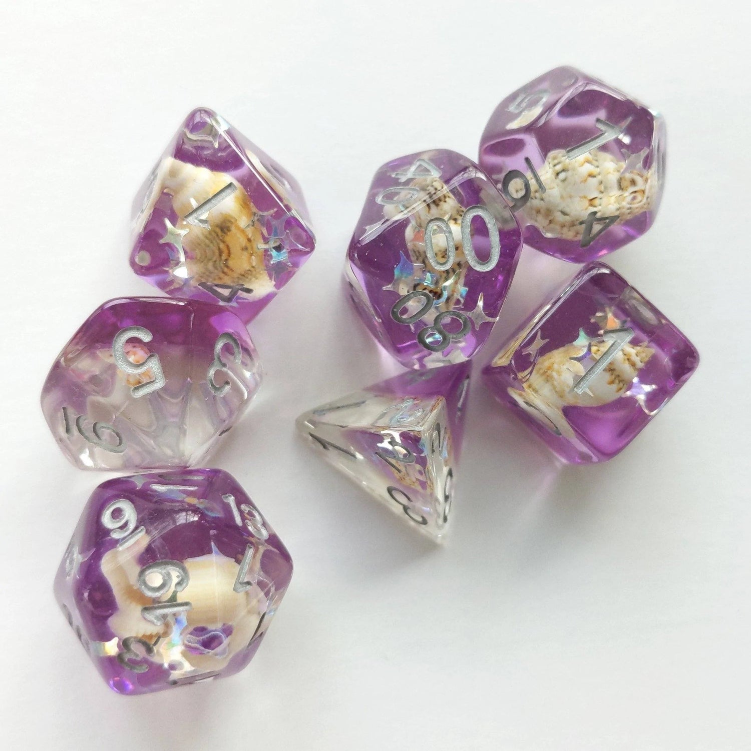 Purple Conch Dice - 7 Dice Set (Real Seashells from the Ocean) - The Fourth Place