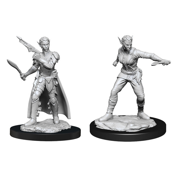 Shifter Rogue (2 minis) - The Fourth Place