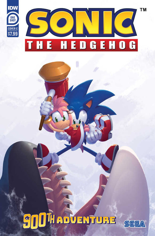 Sonic The Hedgehogs 900th Adventure Cover C Stanley - The Fourth Place