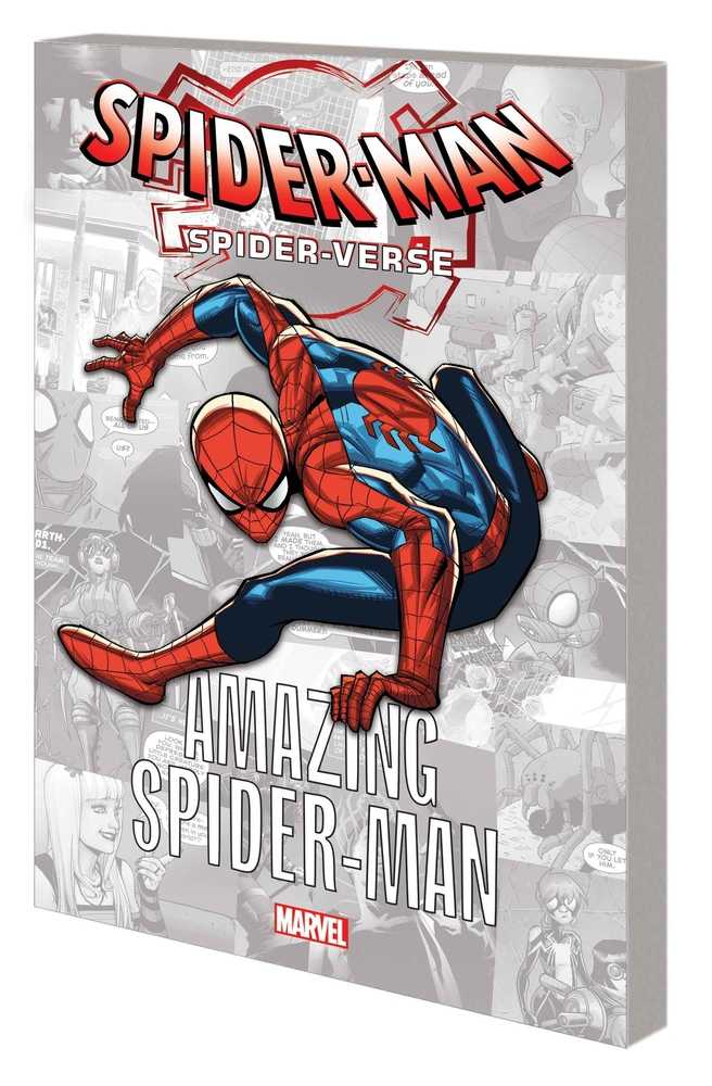 Spider-Verse Graphic Novel TPB Amazing Spider-Man - The Fourth Place