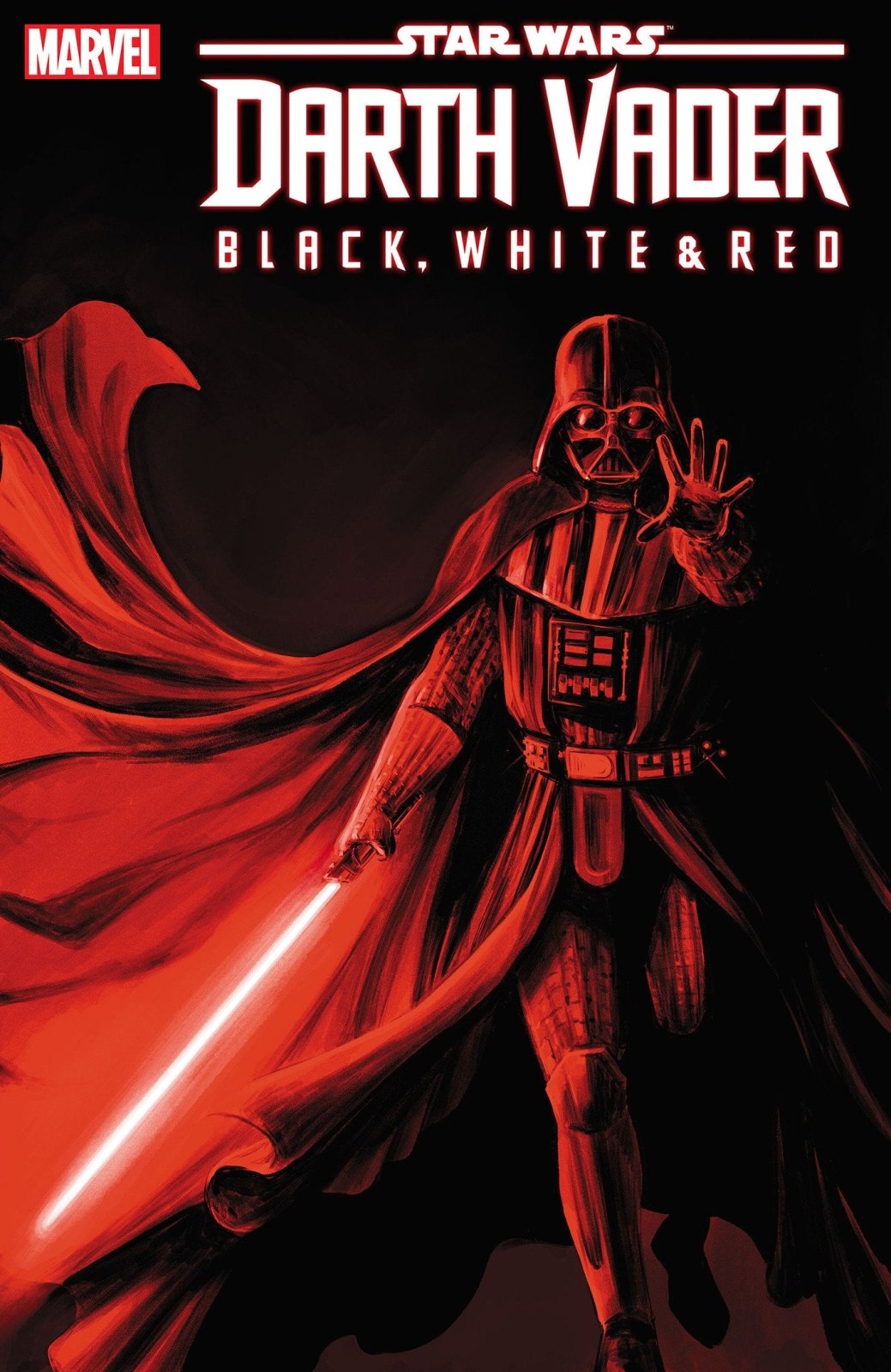 Star Wars: Darth Vader - Black, White & Red 3 Carmen Carnero Variant - The Fourth Place