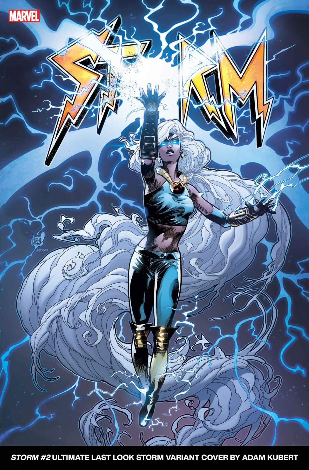 Storm 2 Adam Kubert Ultimate Last Look Variant - The Fourth Place
