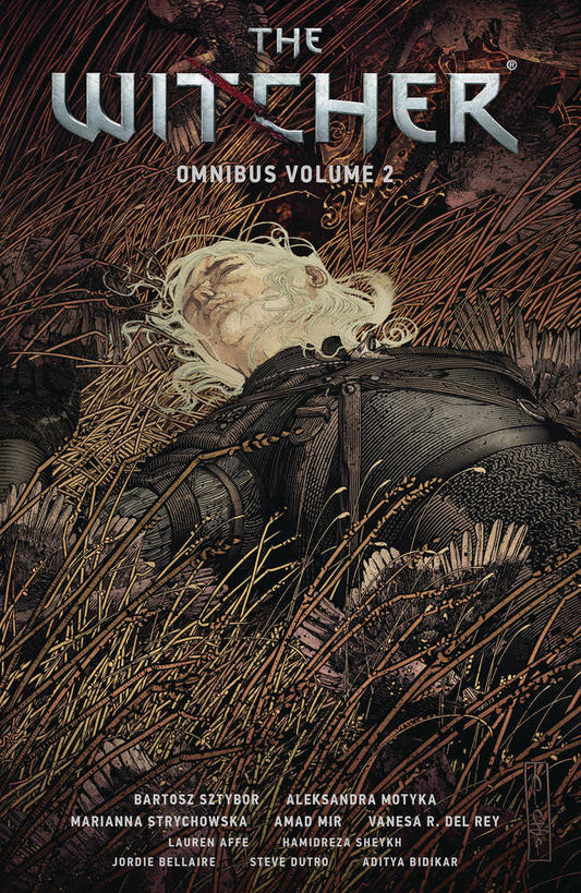 Witcher Omnibus TPB Volume 02 - The Fourth Place